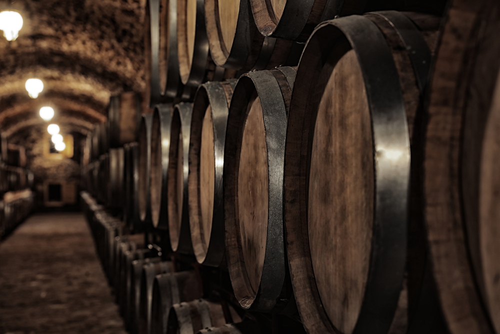 Japanese whisky casks aging in warehouse cellar